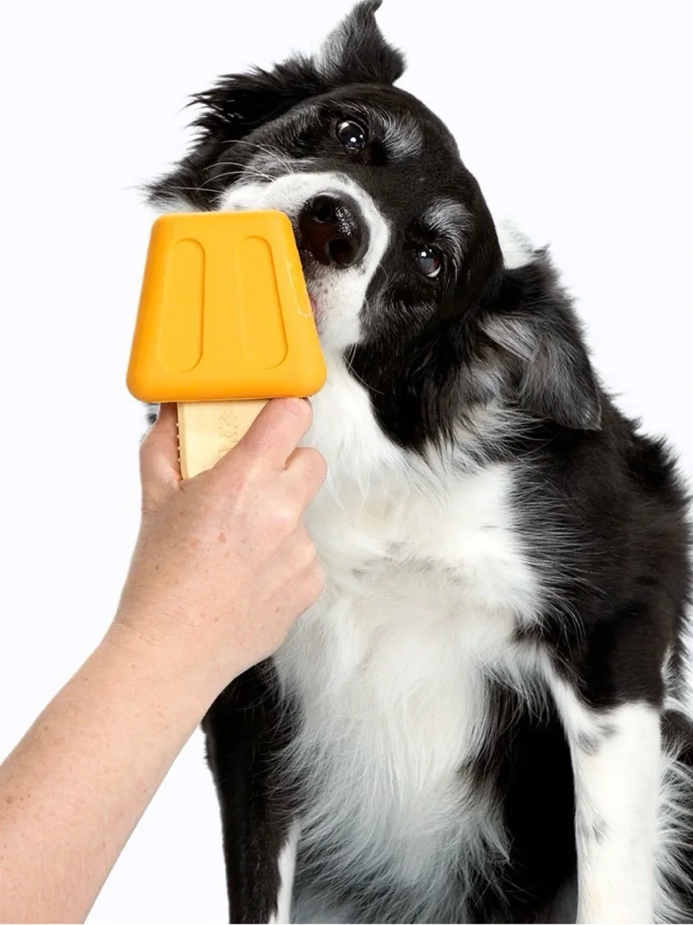 Bark Box Super Chewer Pupsicle dog Freezer Treat maker NEW M-L Tough Chewer kit